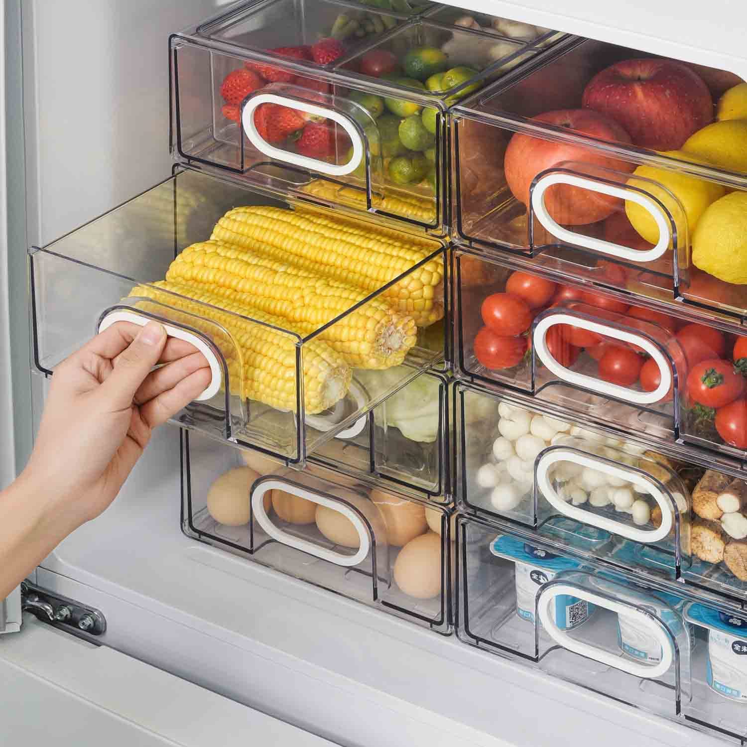 How To Find The Perfect Fridge Organizer?