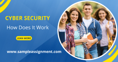 Cyber Security Assignment Help