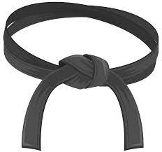 online six sigma black belt training
