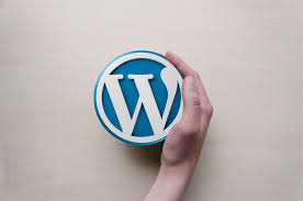 The Importance of WordPress Care Plans for Modern Businesses
